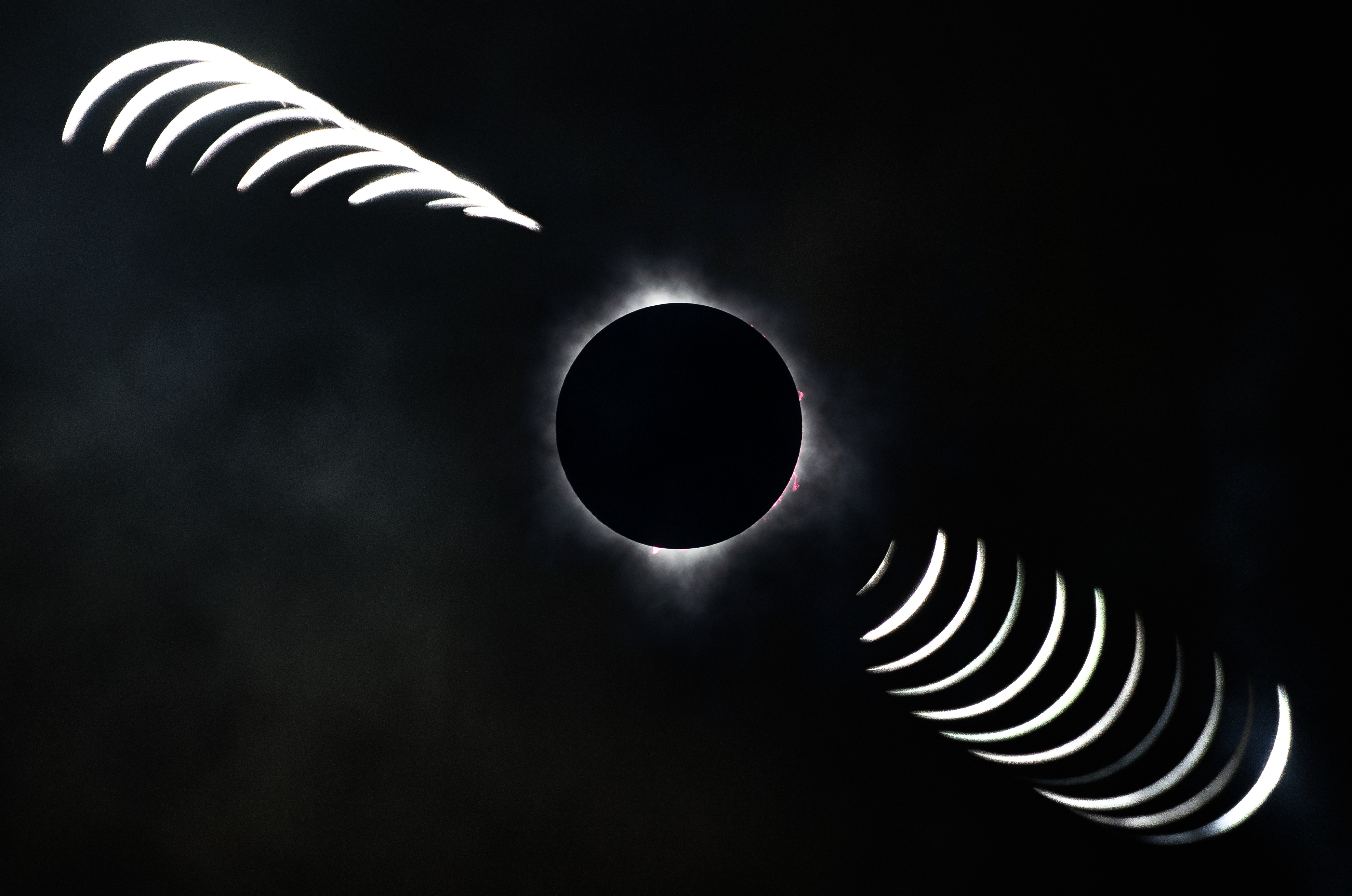 eclipse – Greg Funston Palaeontology